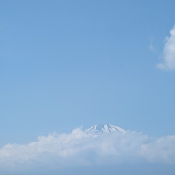 totorosun
